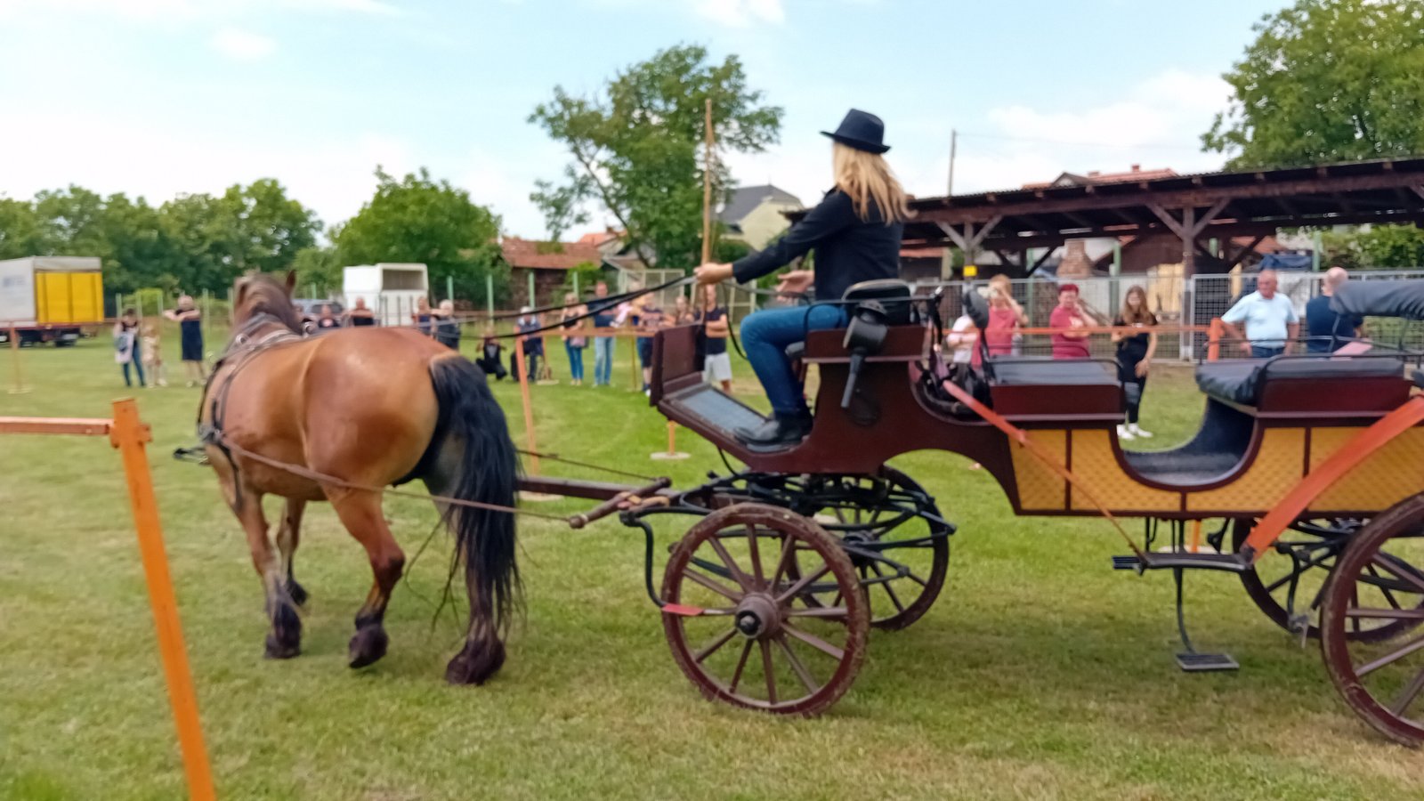 PREKRASNI SU Izložba međimurskog konja u Nedelišću
