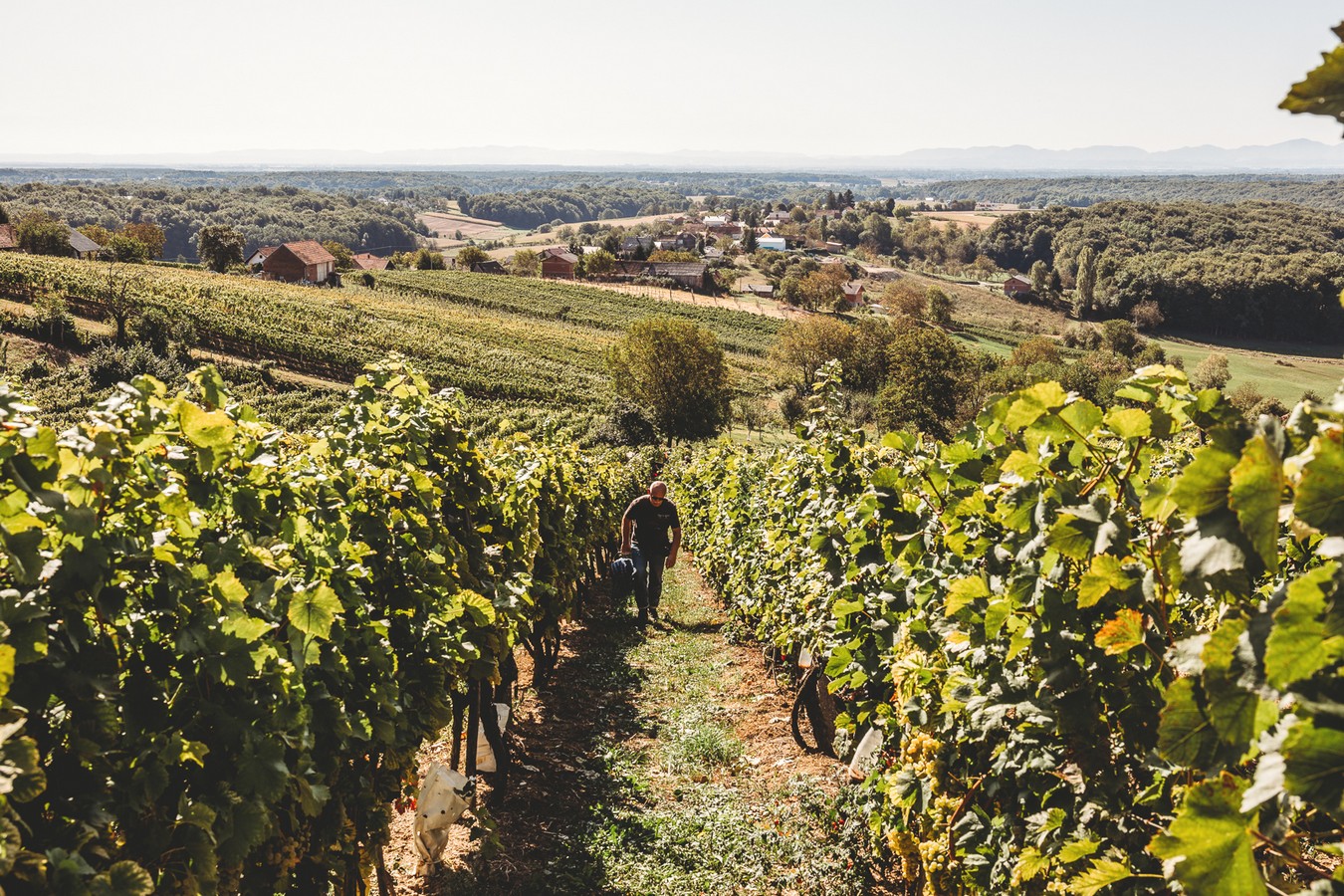 HUMANO I VESELO Radio gorice za Katružu – humanitarna akcija za bolesne Međimurce