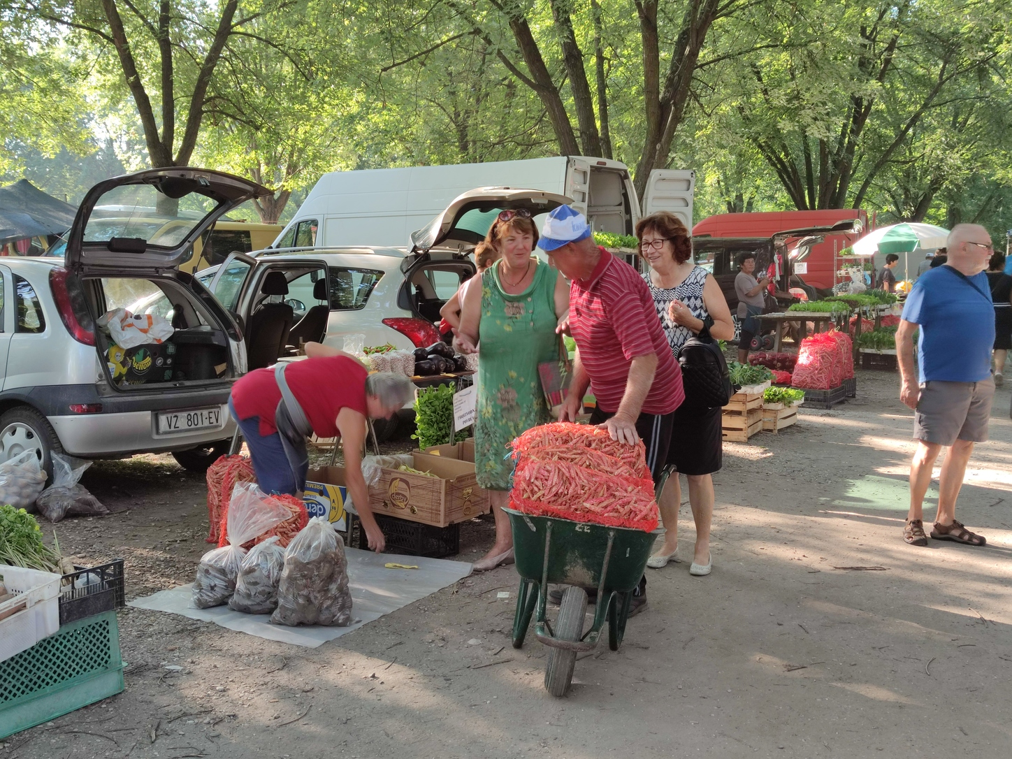 Image 5810819 (auto)