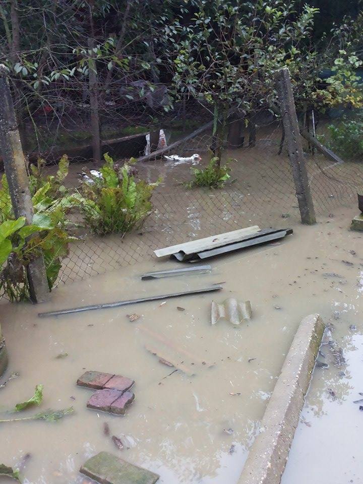 1070658674654863871515914023891