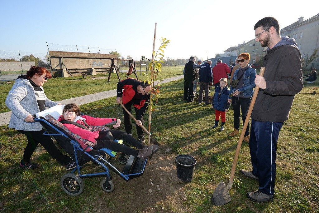 FOTO Velik broj građana subotnje prijepodne iskoristio za sadnju stabala u Čakovcu