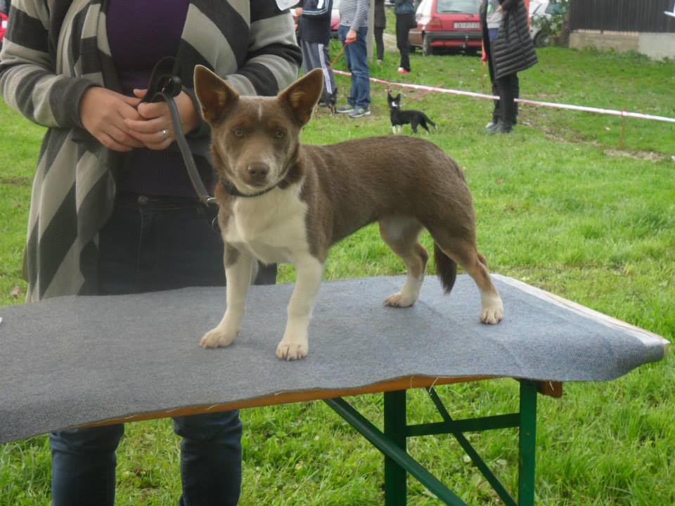 1060966932399948111662917647839