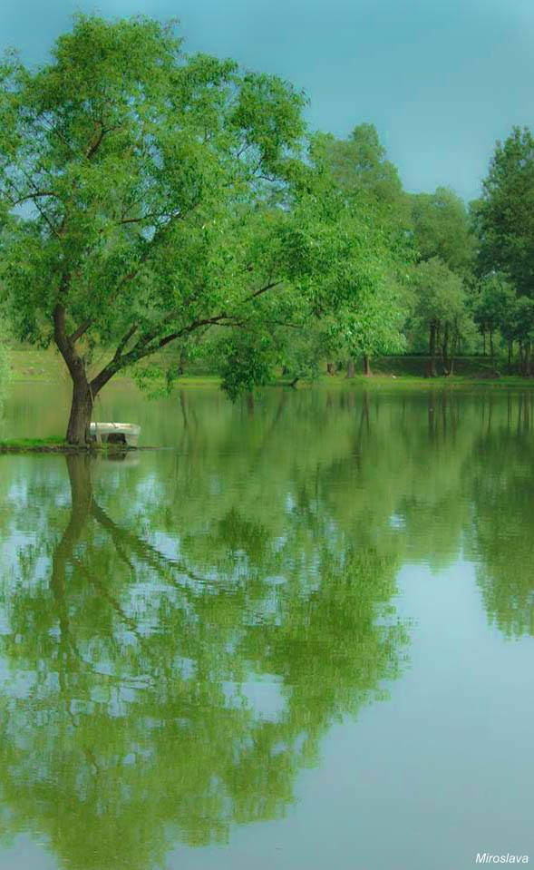 1113023210205935027991778396545