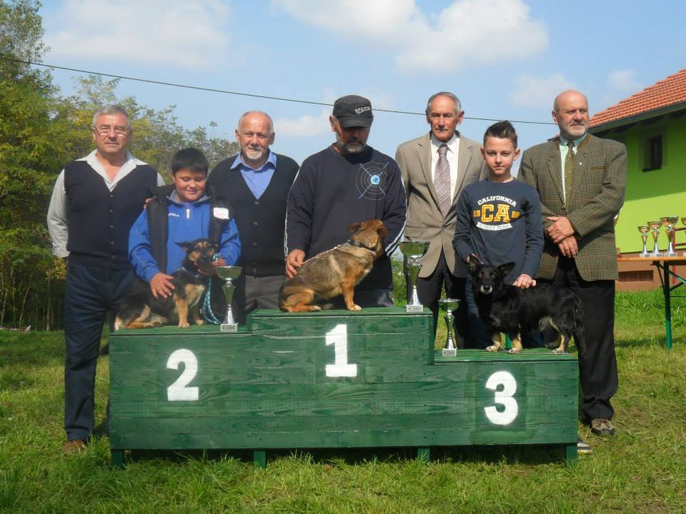 1070217932400006778323741507287