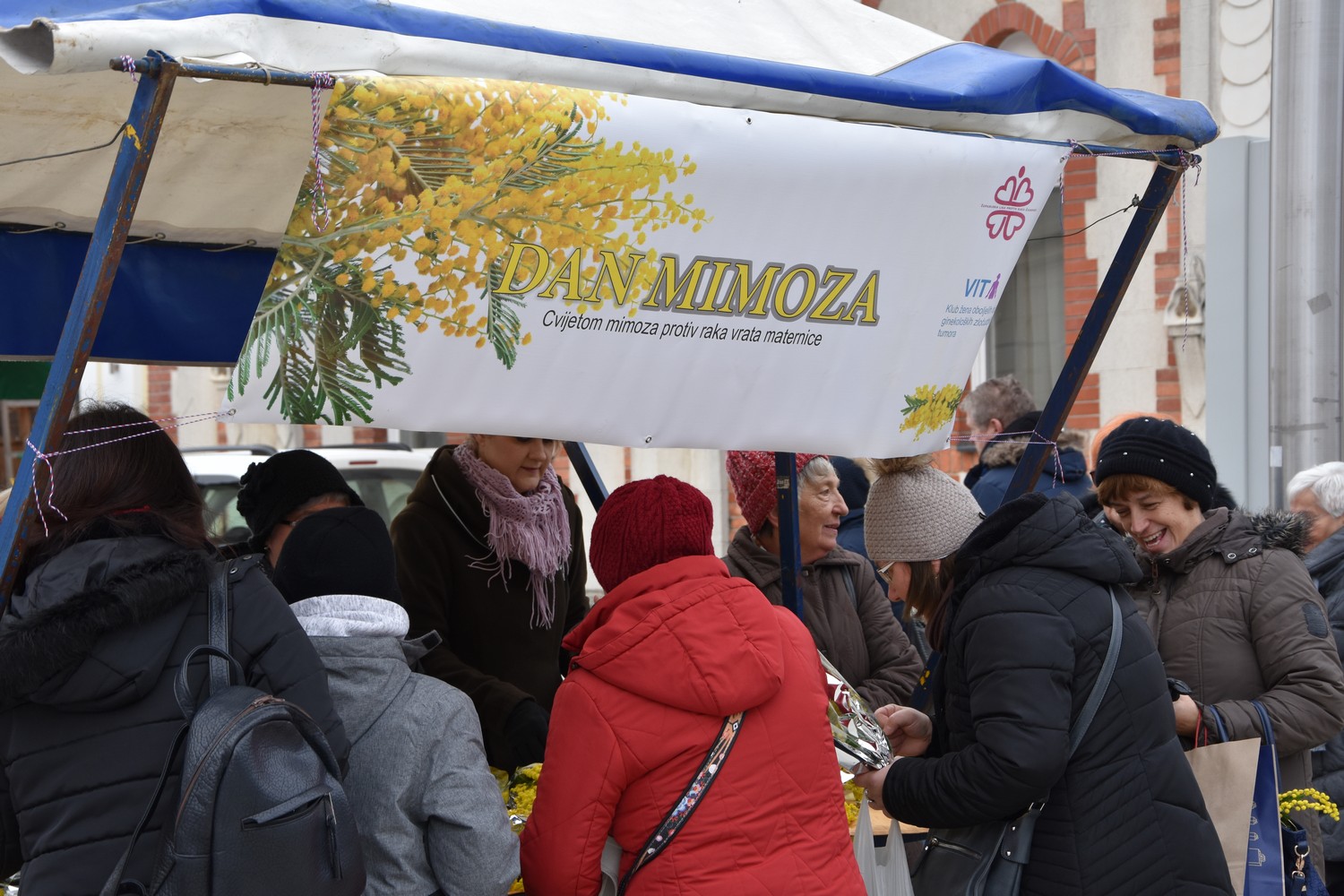 Dan mimoza u Čakovcu