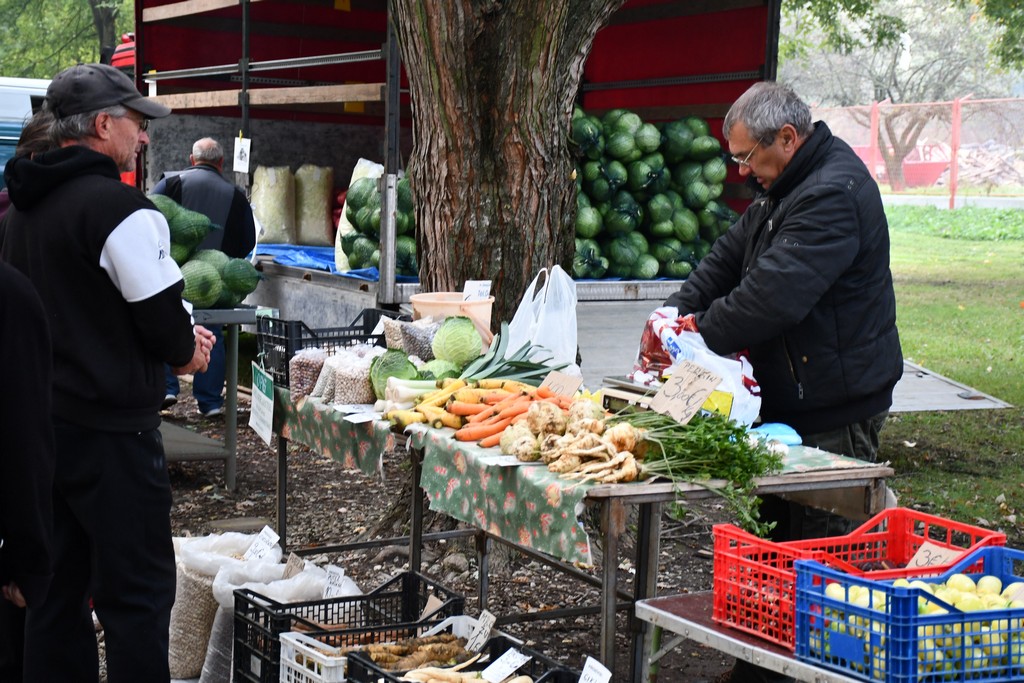 FOTO S dolaskom hladnijih dana povećan interes za kupnju drva za ogrjev