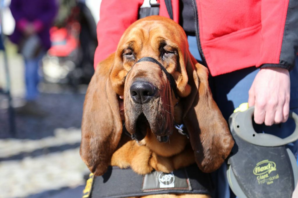 2979201610214739850346834799969