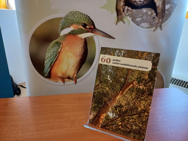 Predstavljanje platane