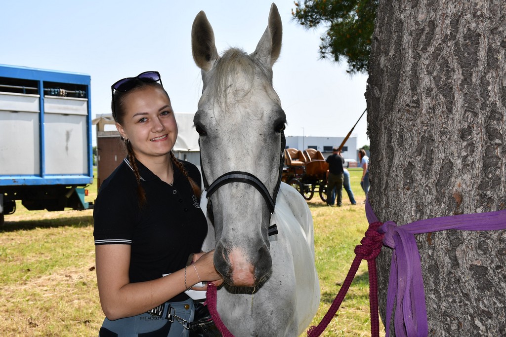 VIDEO I FOTO Međunarodno konjičko druženje okupilo brojne uzgajivače konja iz SZ Hrvatske te Slovenije i Austrije