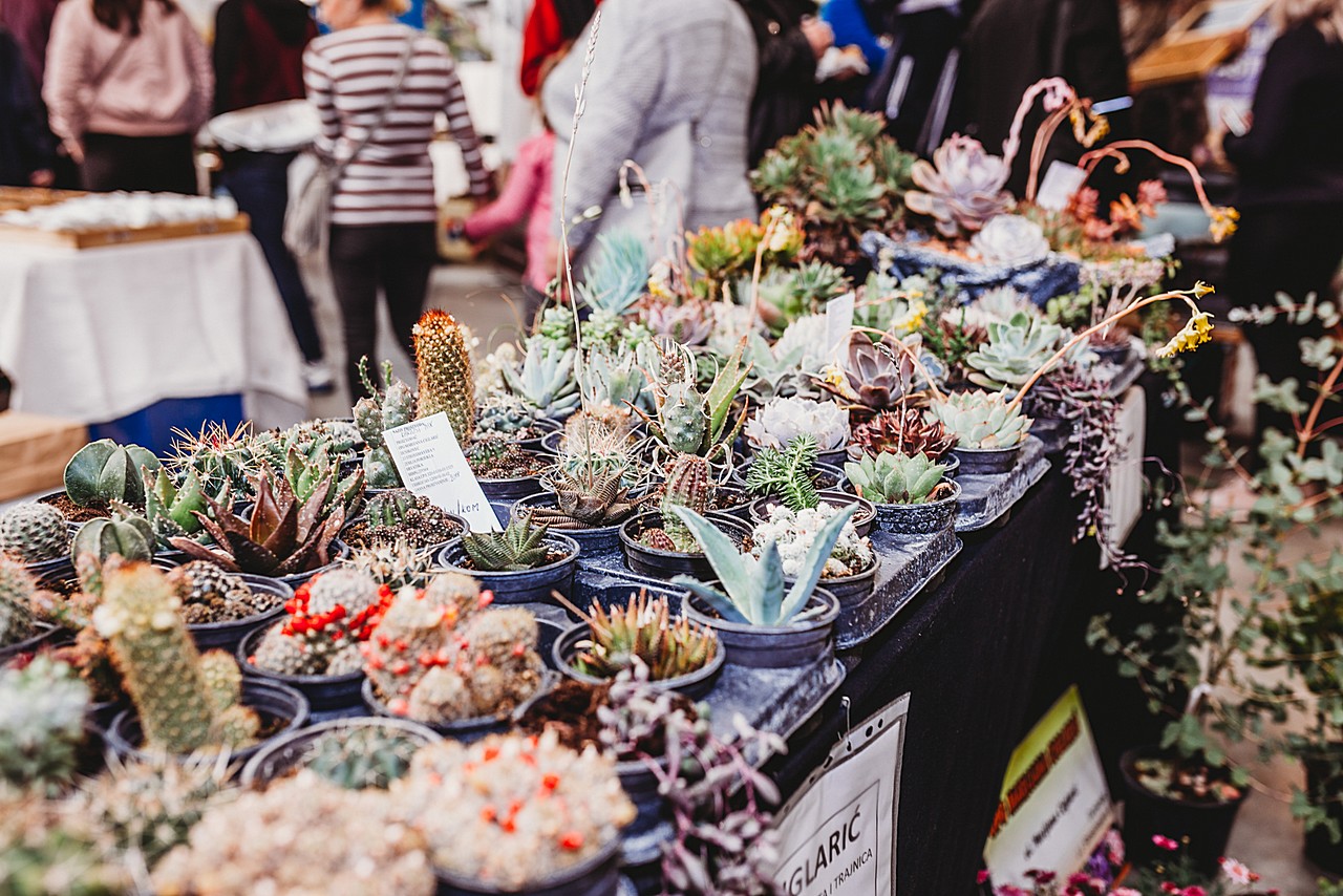 Prvi Regionalni plac na Mesapu u Nedelišću oduševio brojne posjetitelje
