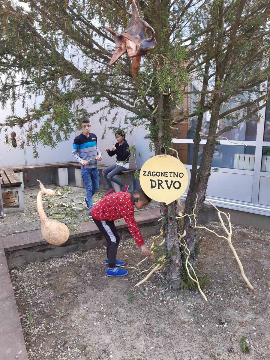 Radionica ‘Kao prvo – zagonetno drvo’