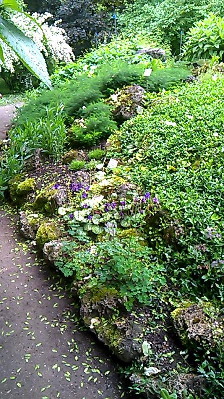 18e28c2a52f790e96f7c5571de96ab3