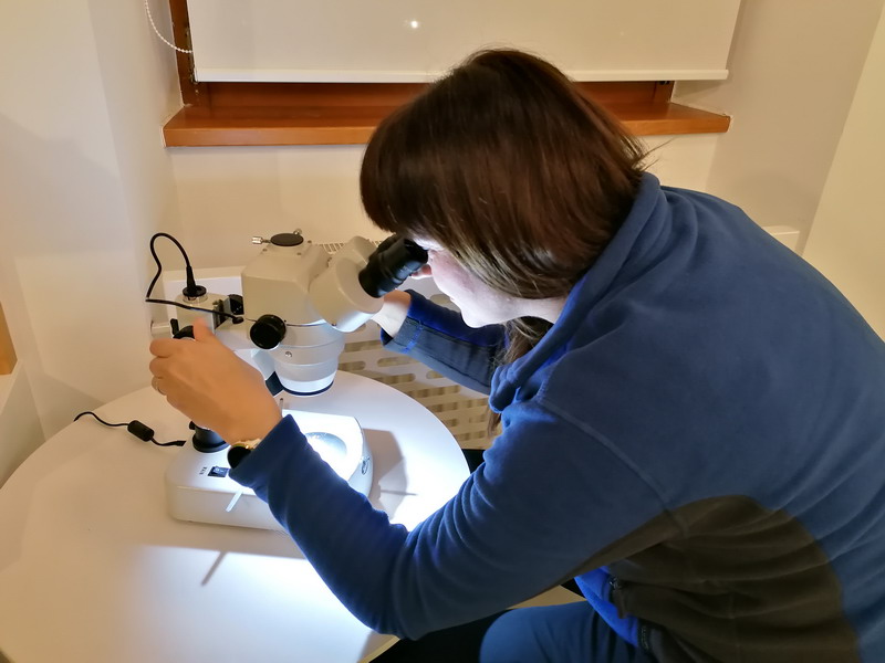 Noć muzeja u Križovcu