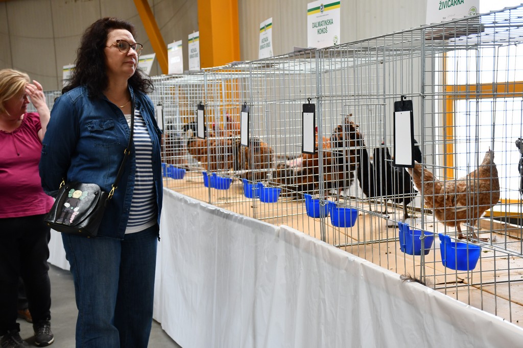 FOTO Izložba malih životinja privukla brojne izlagače, ali i posjetitelje