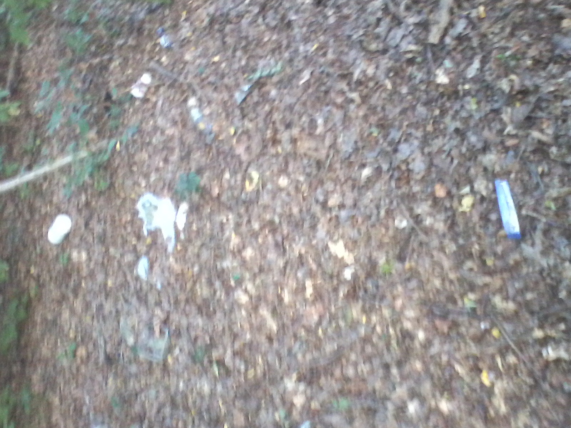 fotografija0037704023