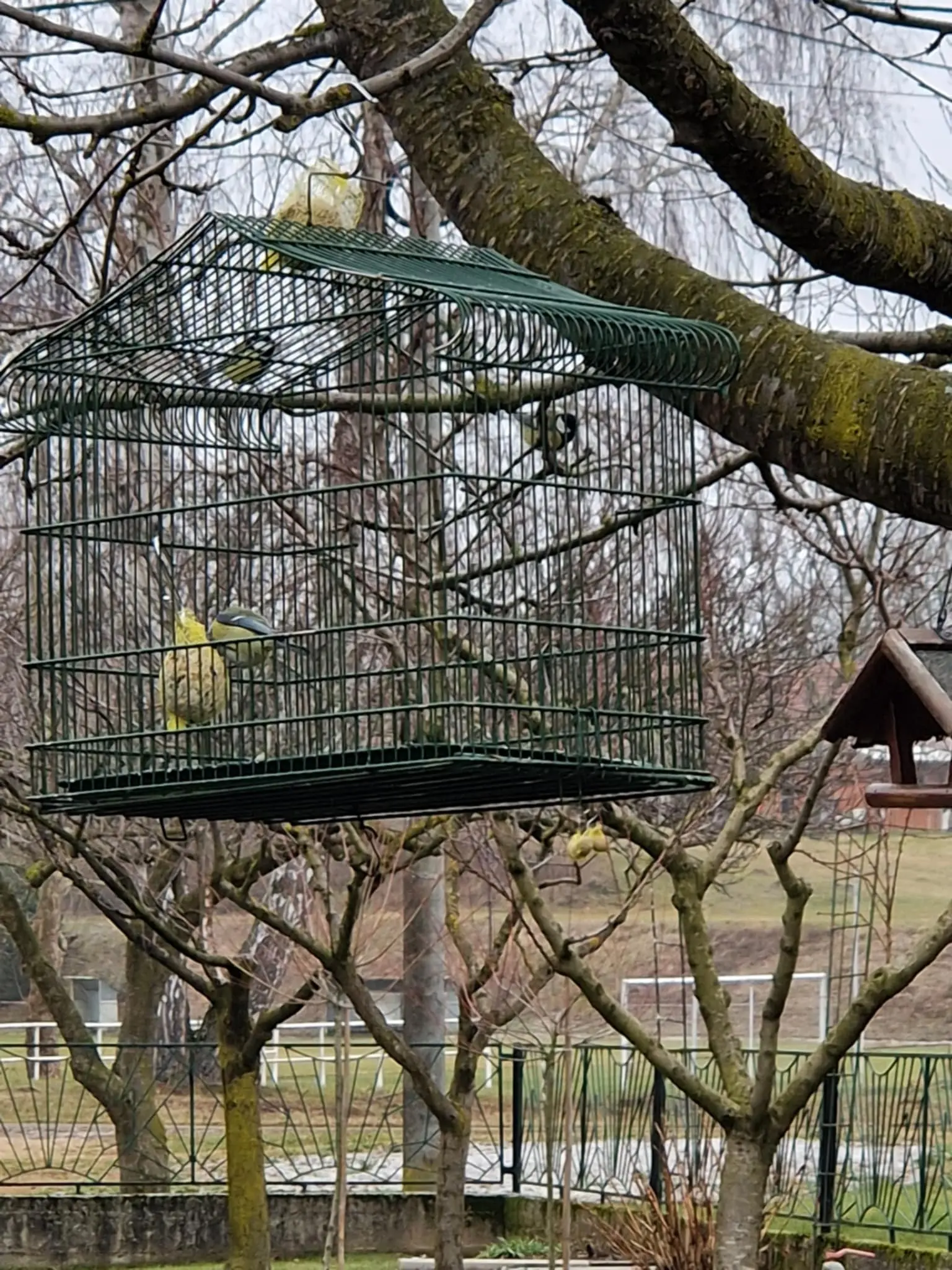 8f593a40-0f13-4586-8e50-f0048862c124 (1)