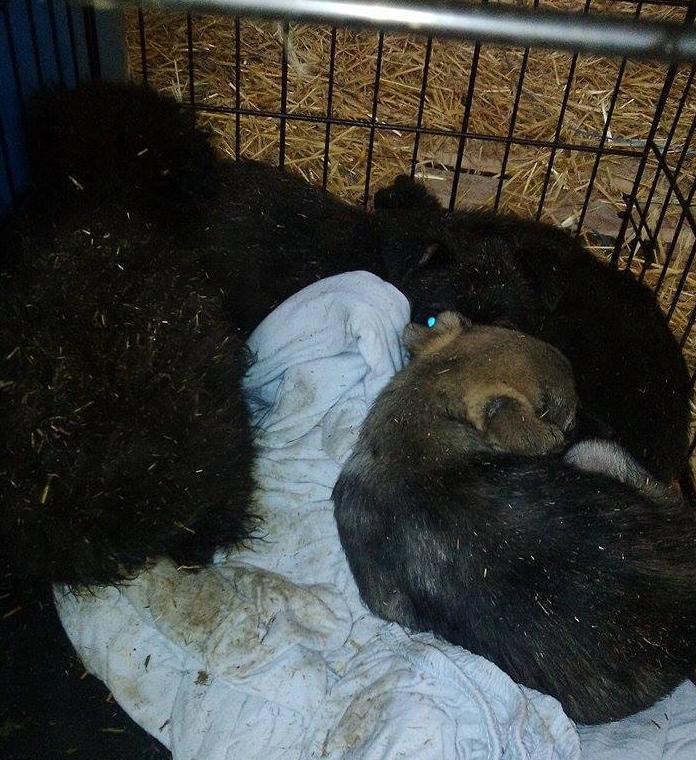 bf034ebe707ec46483bb859c028c9a4