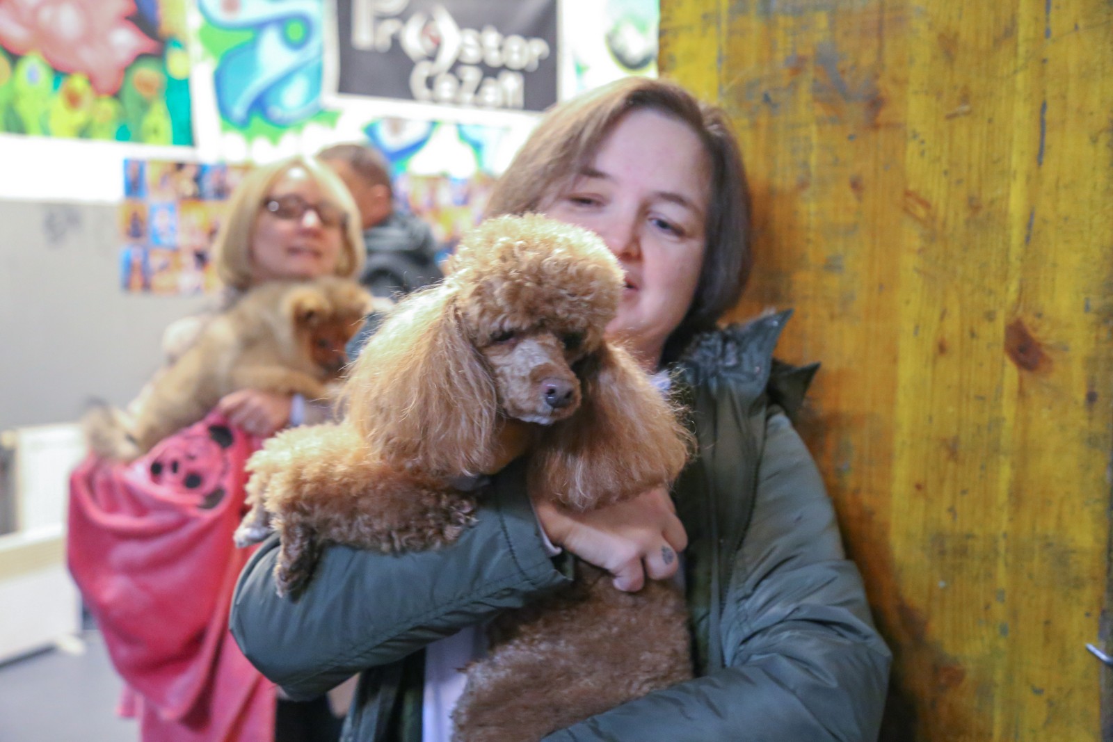 Humanitarno fotkanje s ljubimcima za pomoć azilu Prijatelji Čakovec