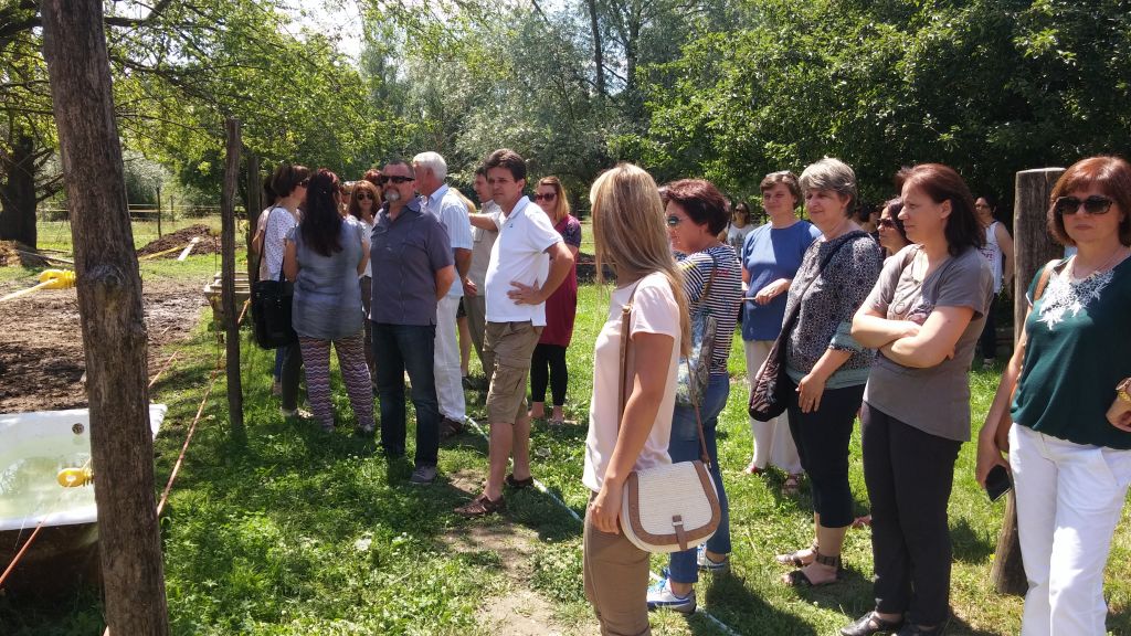 20170626130430220992