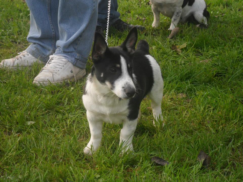 1061312832399808111676967470247