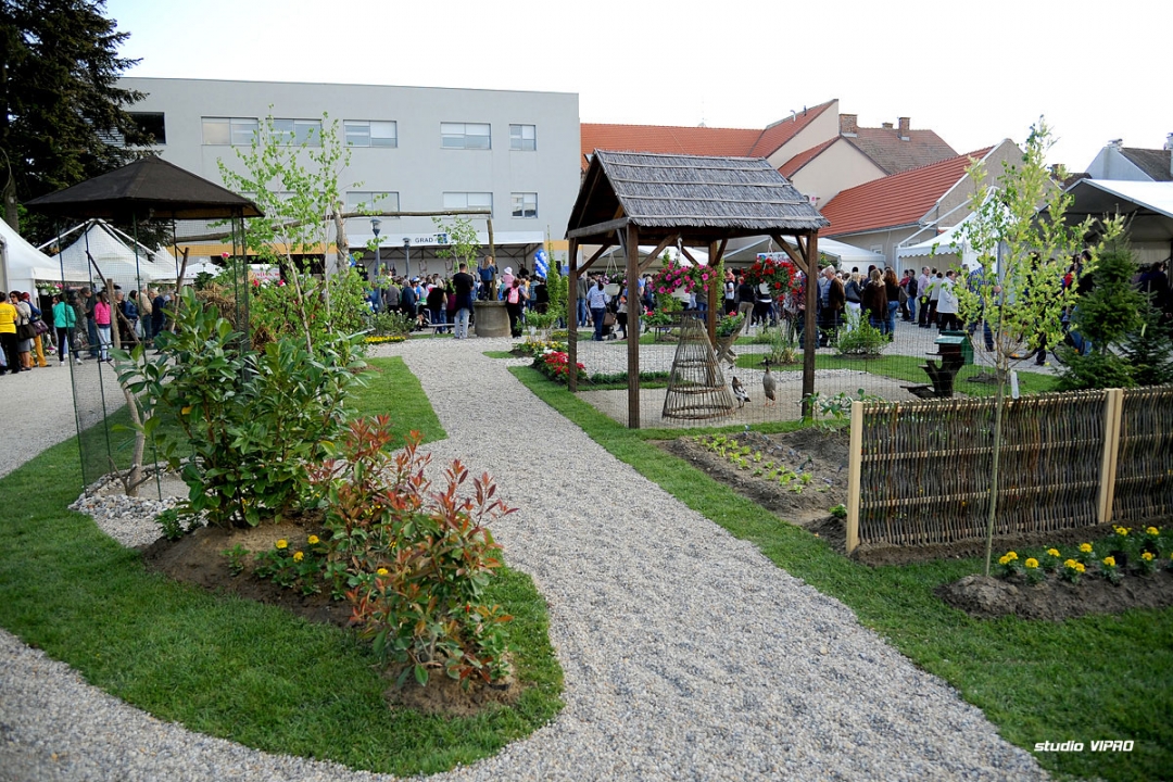 287611837dsc2893590291