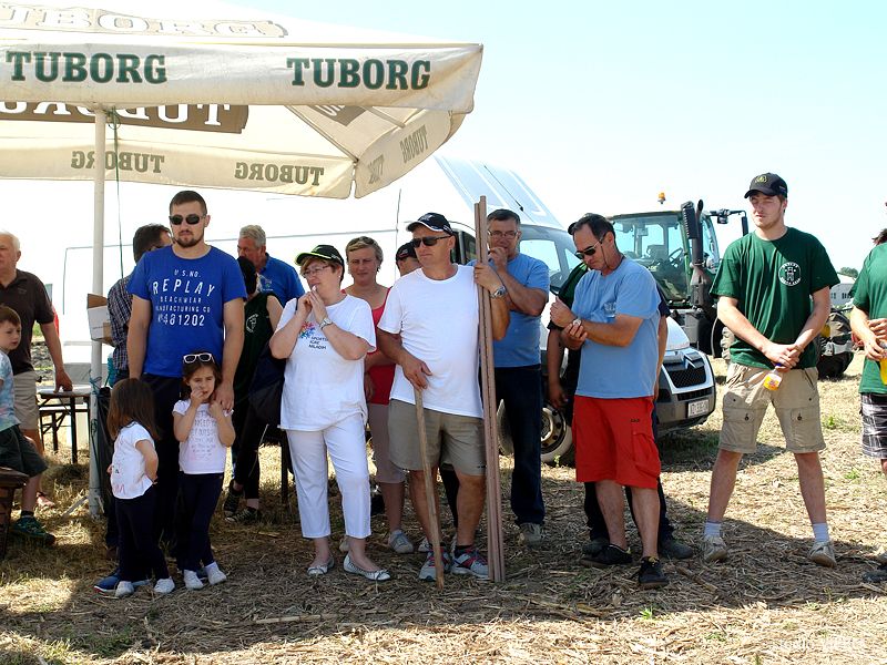 353915392dsc06343546033