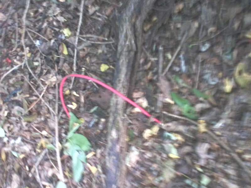 fotografija0027428560