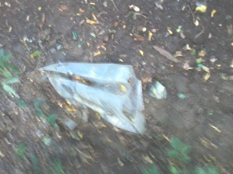 fotografija0042488249