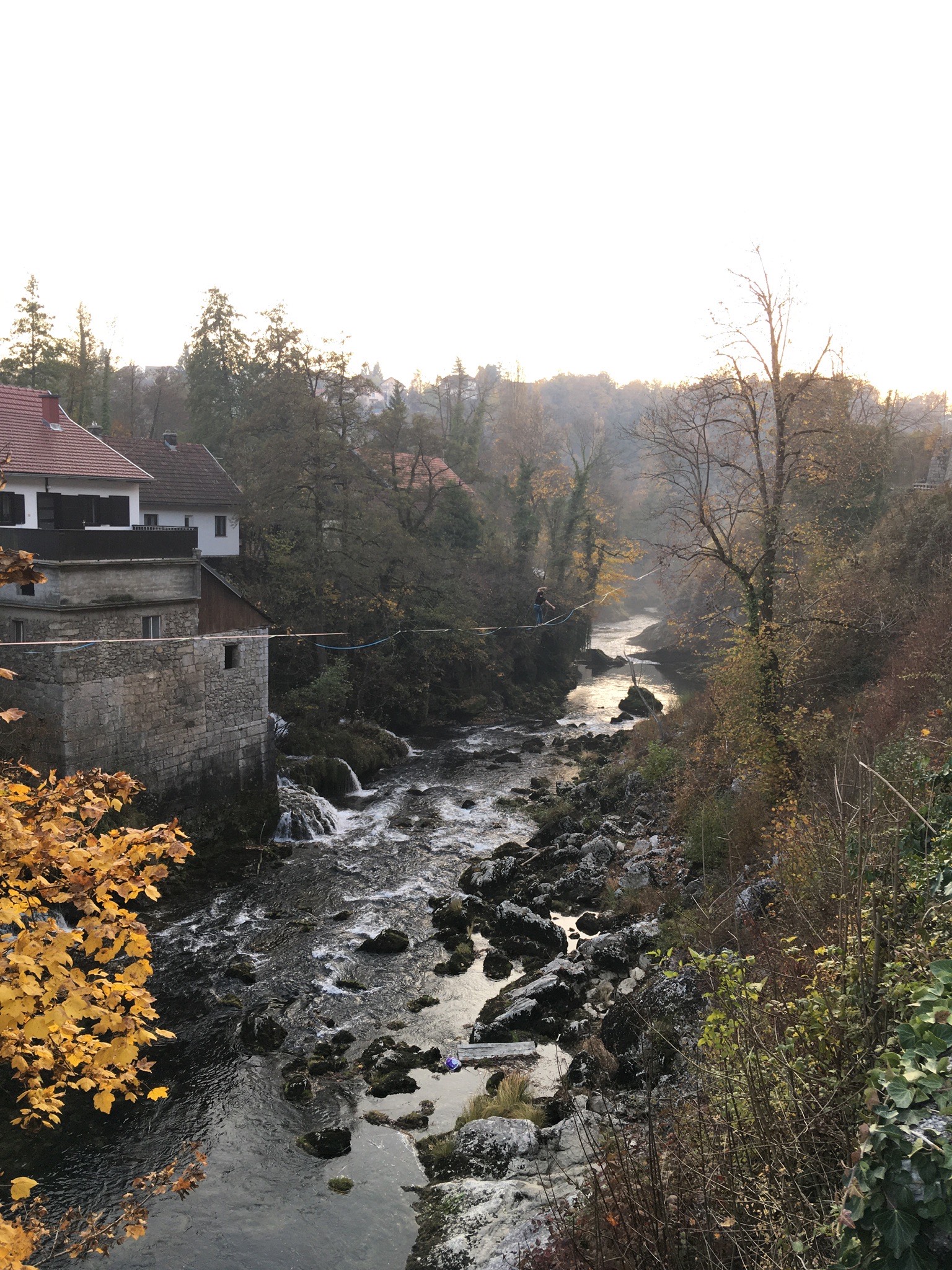 Filip Golubić Filip Golubić