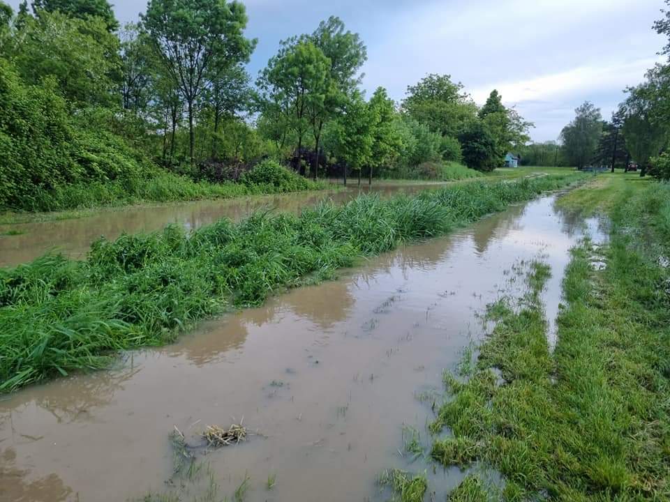 belica borščak izlio se