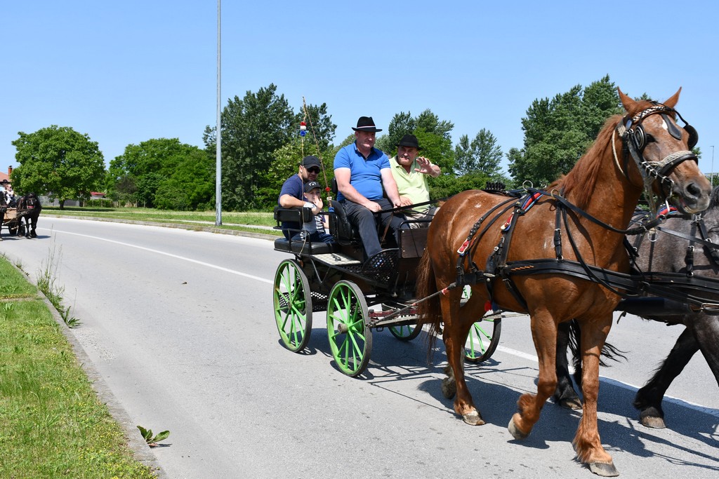 VIDEO I FOTO Međunarodno konjičko druženje okupilo brojne uzgajivače konja iz SZ Hrvatske te Slovenije i Austrije