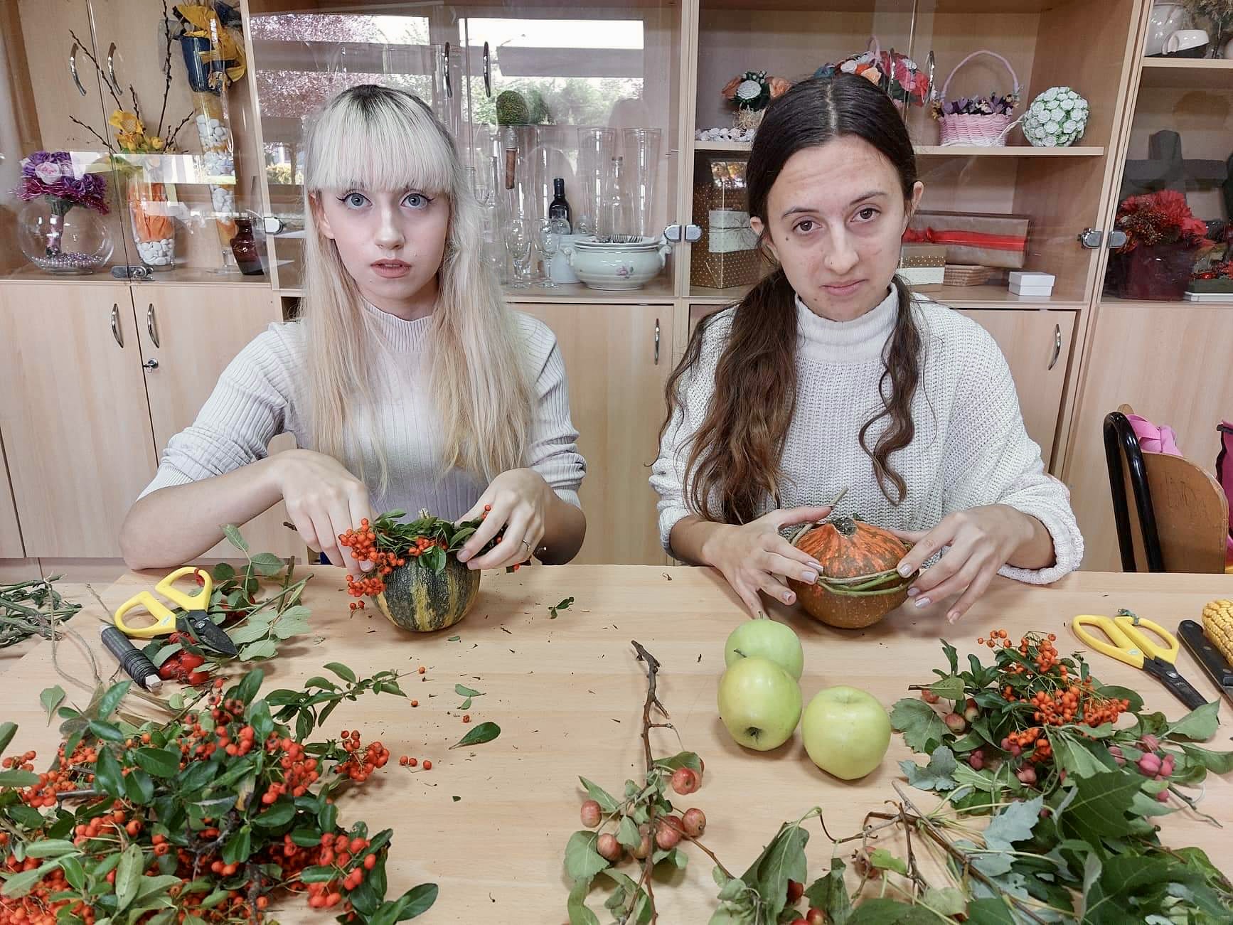 Gospodarska škola Čakovec