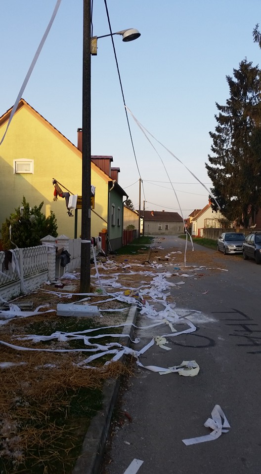 2251299518137051873661893023051