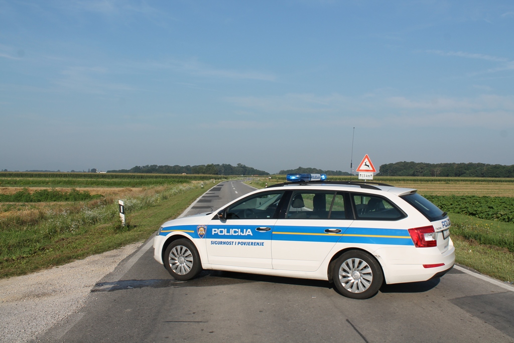 img1491396318