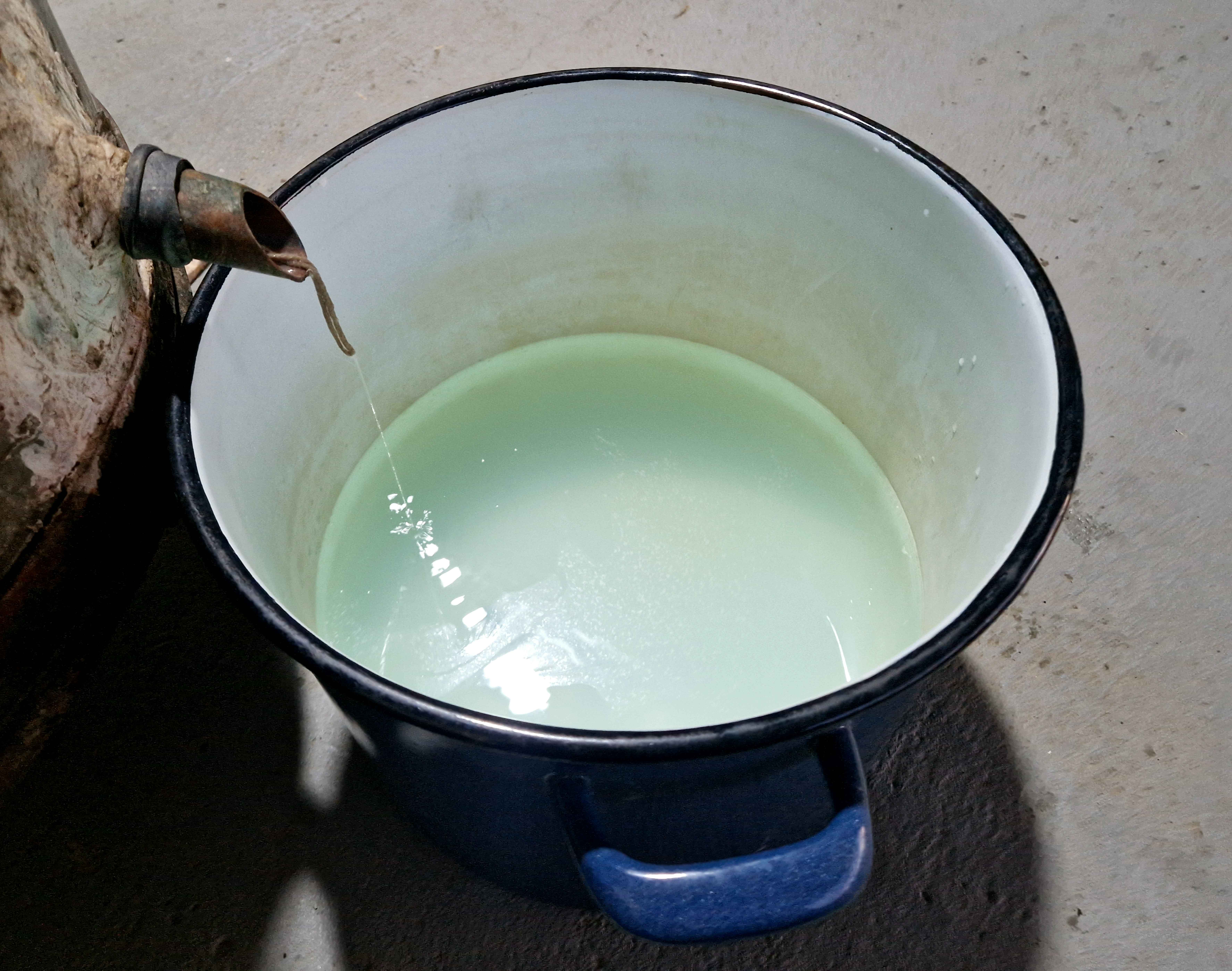 PRVE KAPI ŽGANICE Obitelj Kamenar pripravila plemenit napitak