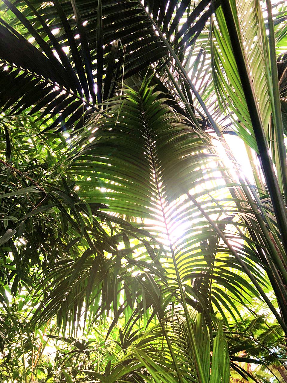 Image 5818431 (auto)