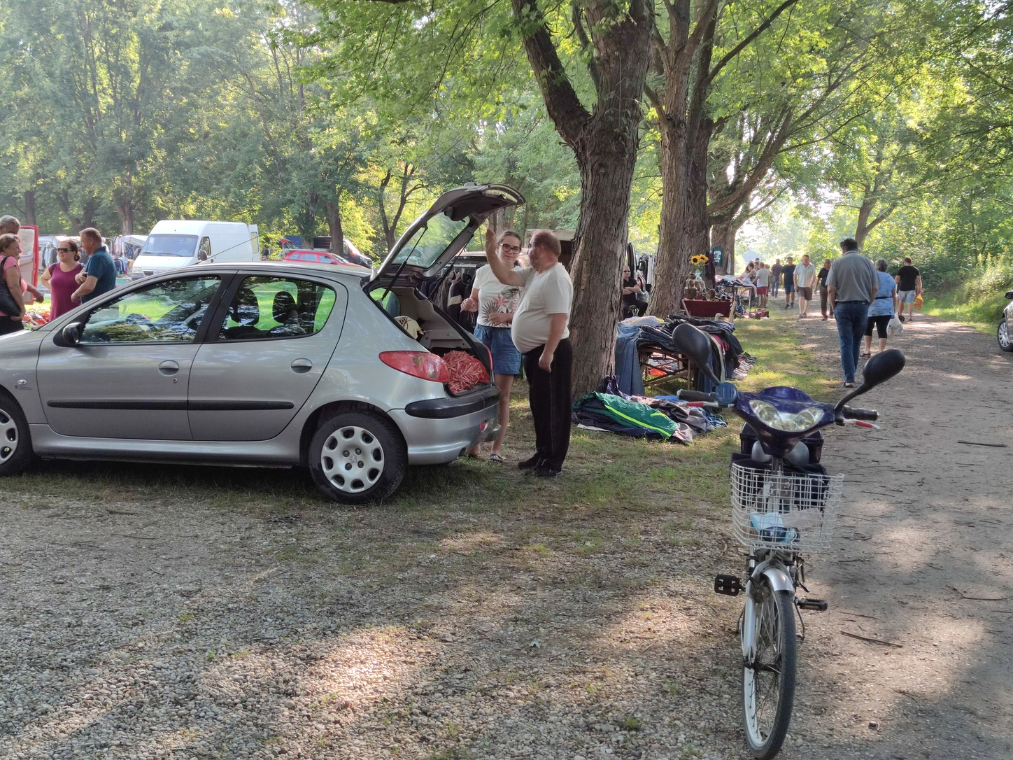 Image 5810825 (auto)