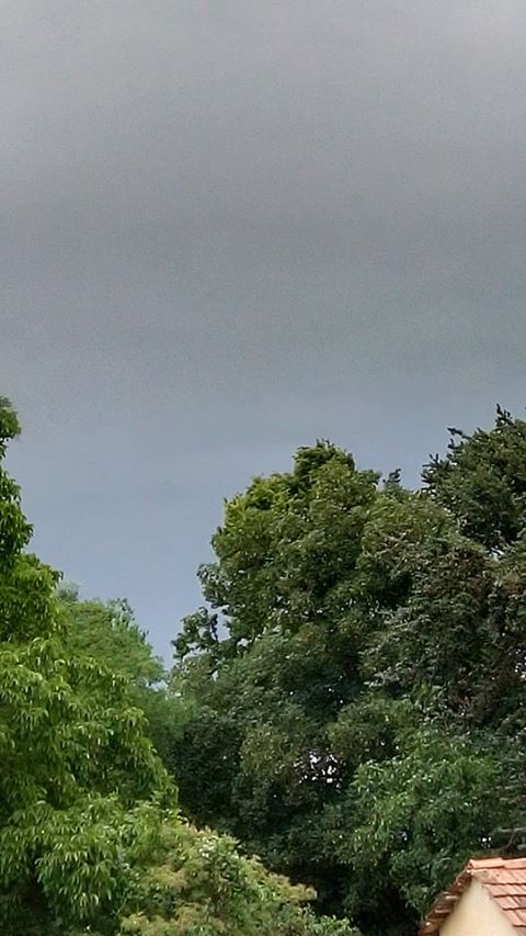 PROLOM OBLAKA Sve nas iznenadilo: U tren oka zamračilo se Međimurje, pada kiša, snažno grmi… PROLOM OBLAKA Sve nas iznenadilo: U tren oka zamračilo se Međimurje, pada kiša, snažno grmi…