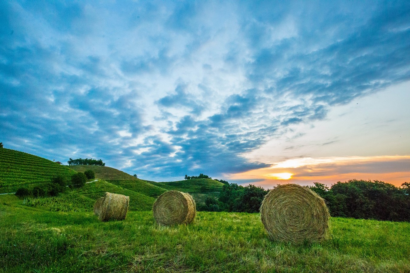 Doček ljeta na Mađerkinom bregu