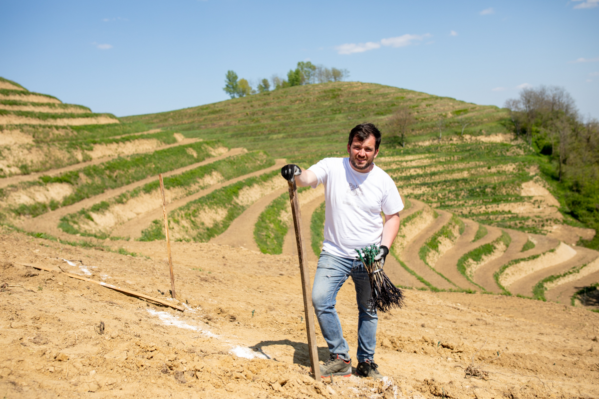 Vinarija Štampar na Mađerkinom bregu zasadila 14 tisuća čokota Pušipela