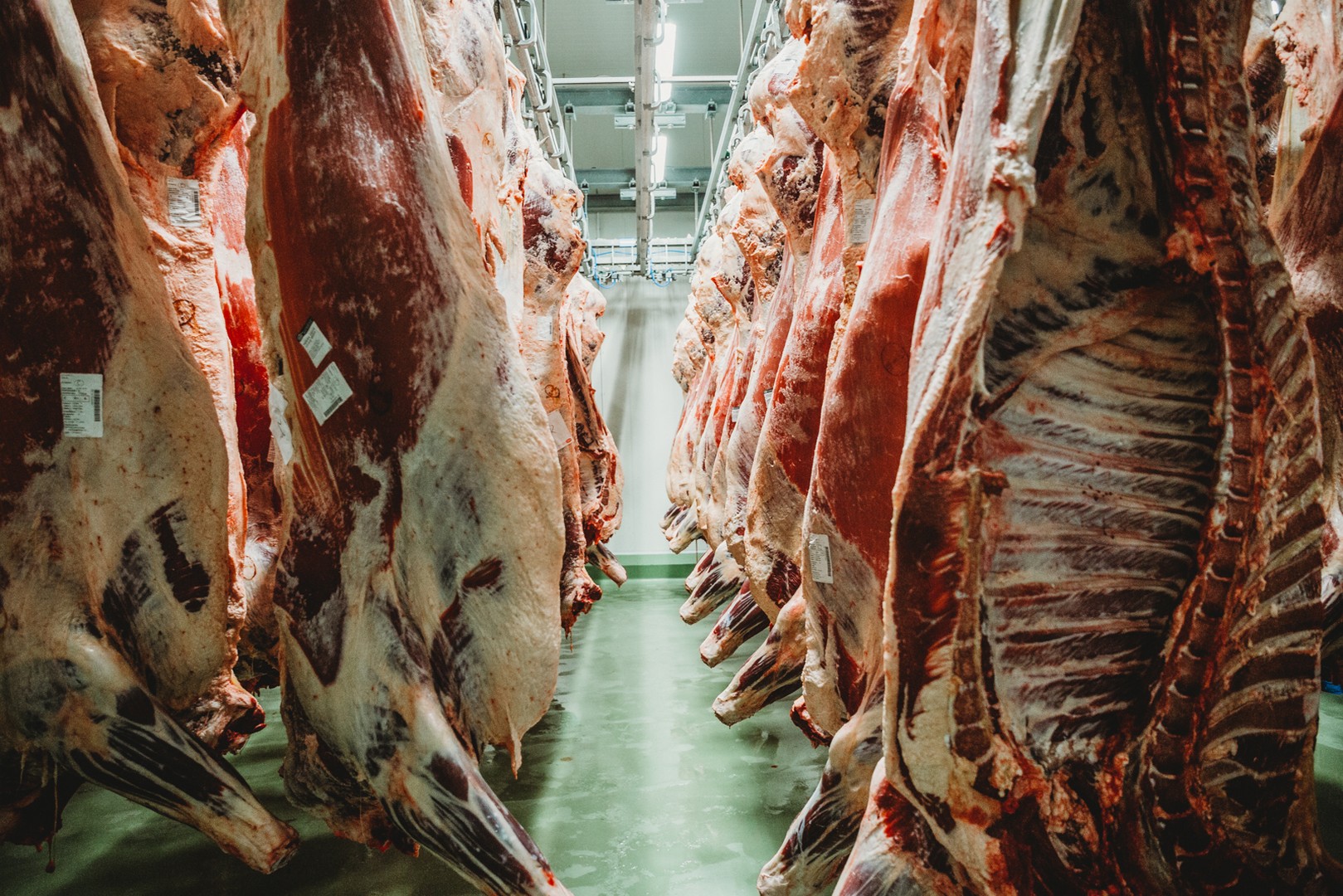 Grupa Pivac u Čakovcu izgradila najsuvremeniju klaonicu i modernizirala proizvodne pogone