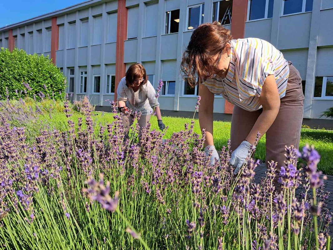 Mirisni vrt ETŠ Čakovec