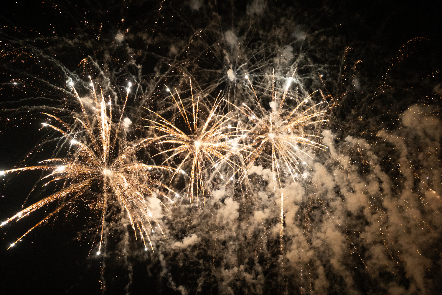 PROIZVODNJA PG PAUL GREEN 10 GODINA