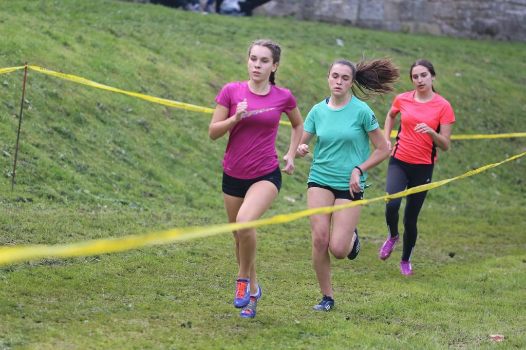 2271178210213285075018360171629