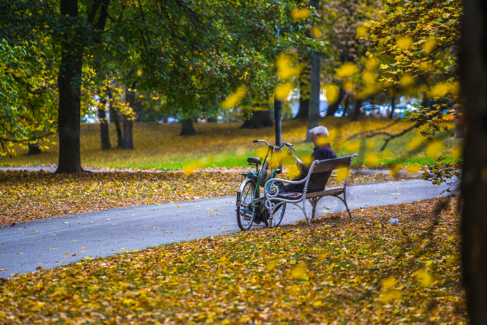 Čarobna jesen: Naša Miroslava Novak prošetala je čakovečkim parkom i snimila šarenilo jesenskih boja. Predivno, zar ne? (y) :-)