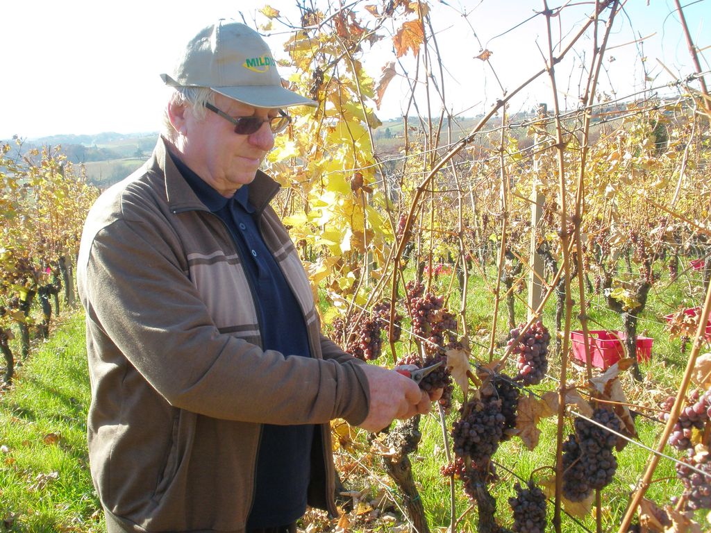 berbajakopiopic4925887