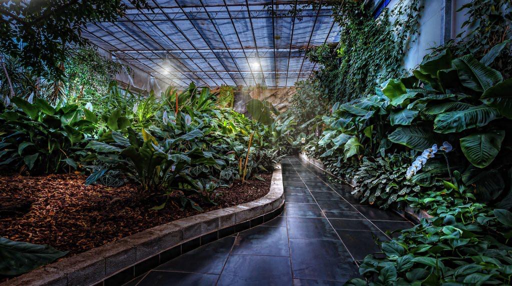 Image 5818465 (auto)