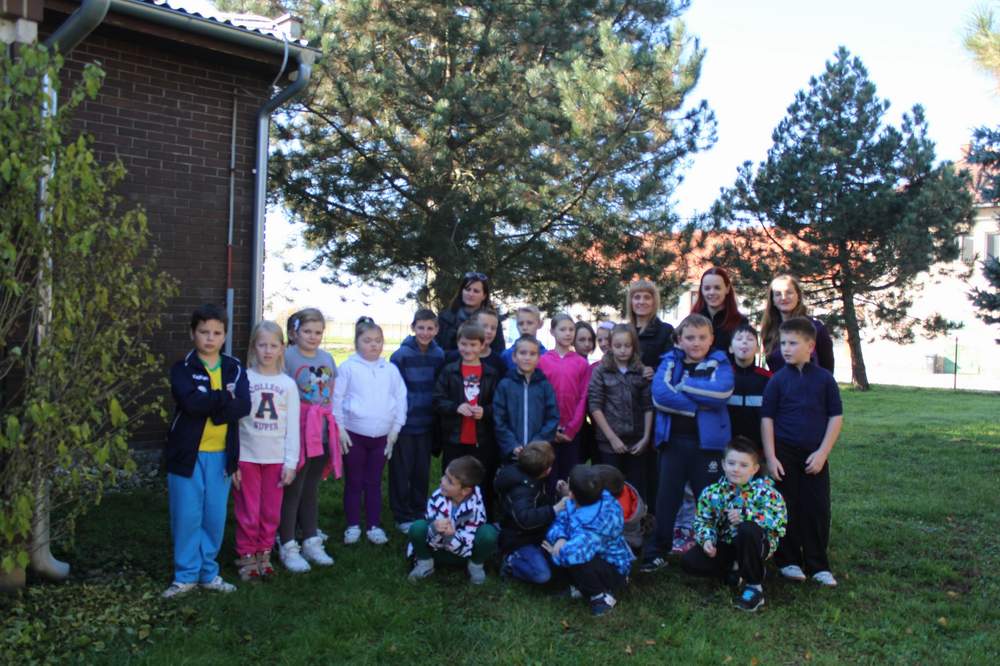 12112015povockajmovrtovepsnsr45