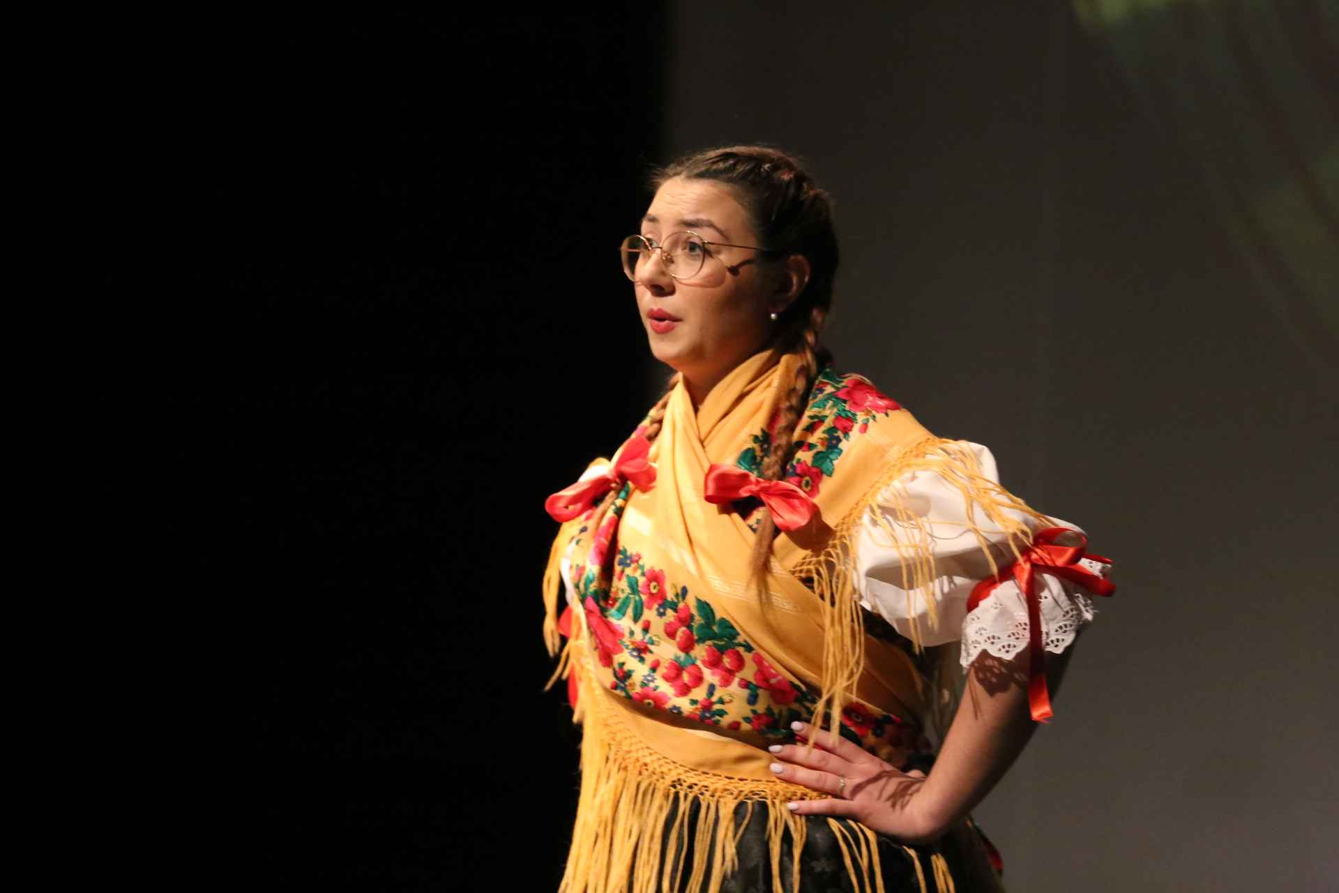 20 godina zrinske garde 20 godina zrinske garde