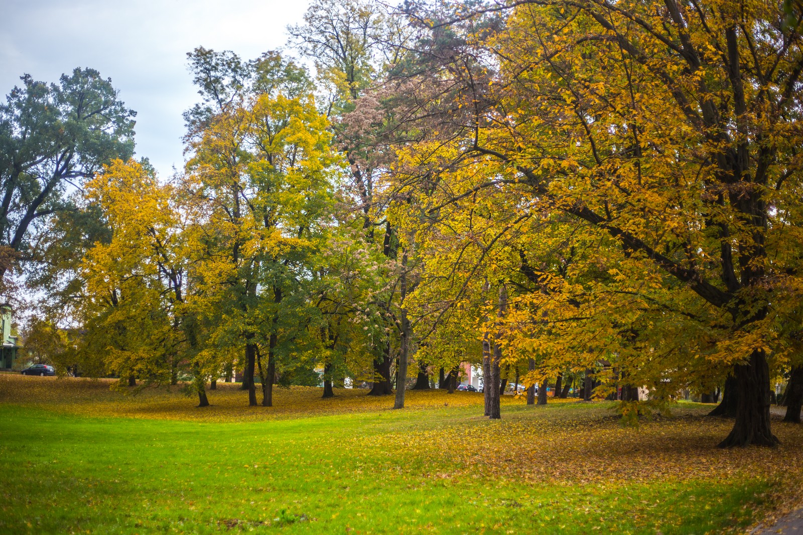 Čarobna jesen: Naša Miroslava Novak prošetala je čakovečkim parkom i snimila šarenilo jesenskih boja. Predivno, zar ne? (y) :-)